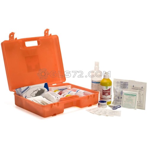 Cassetta medica pronto - cassetta,