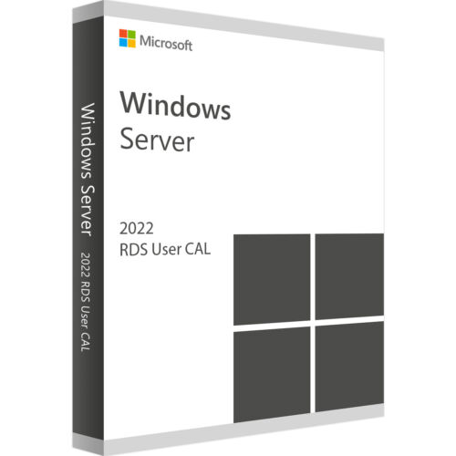Windows server 2022 rds user - windows,